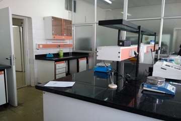 Molecular Lab 1