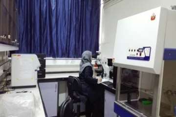 Real Time Laboratory